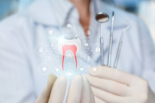 Best Full Mouth Reconstruction  in Belpre, OH